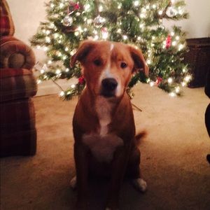 Meet your Posher, Katelyn